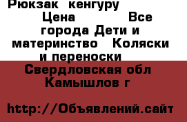 Рюкзак -кенгуру Baby Bjorn  › Цена ­ 2 000 - Все города Дети и материнство » Коляски и переноски   . Свердловская обл.,Камышлов г.